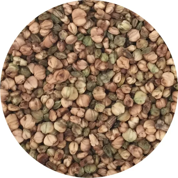 Semi per microgreens – Valerianella Lullaby In saldo - immagine 2