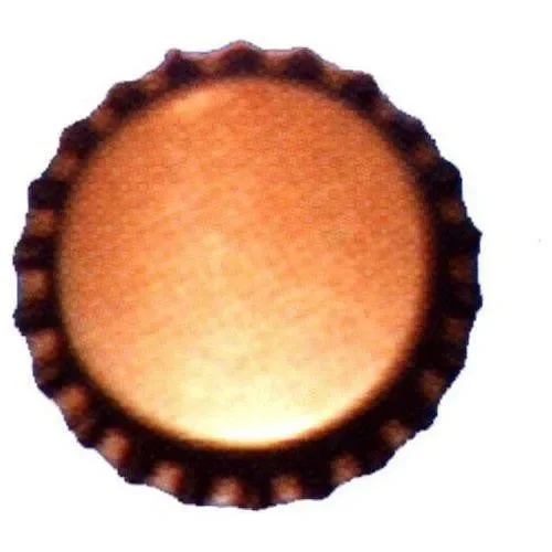 Tappo Corona Mm 29,0 Pezzi 100 8004958029214