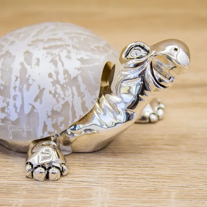 Tartaruga Argento, Corazza Tortora Lully Argenti - immagine 3