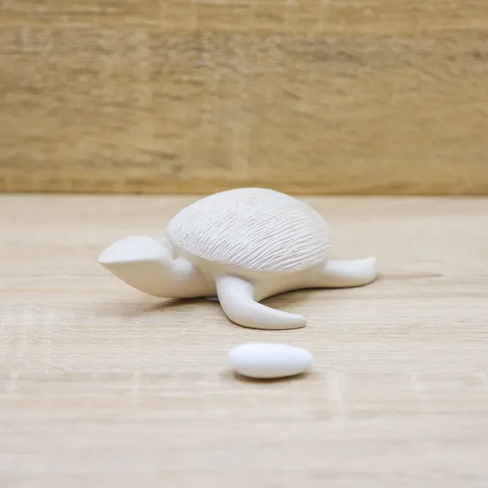 Tartaruga Tortora Giovinarte