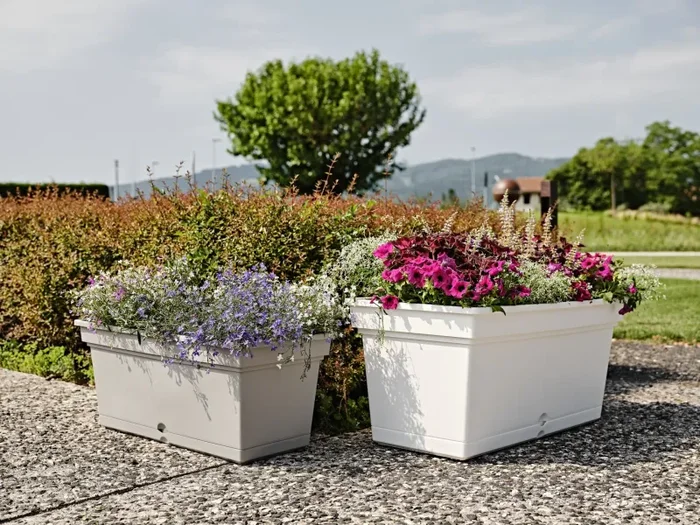 TeraPlast Fioriera Aqua 78 H 34 Cm 78,5 x 38,5 Cm Fog Grey Resina Fornitura - immagine 2