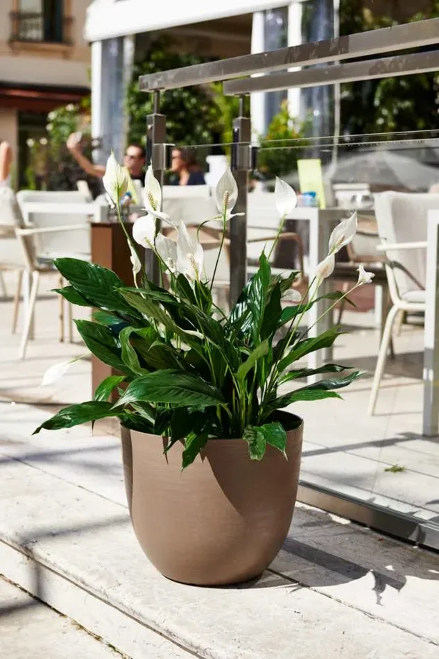 TeraPlast Vaso Over 48 Sand Plastica Riciclata - immagine 2