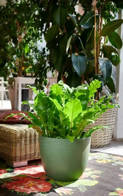 TeraPlast Vaso Over 48 Sand Plastica Riciclata - immagine 3