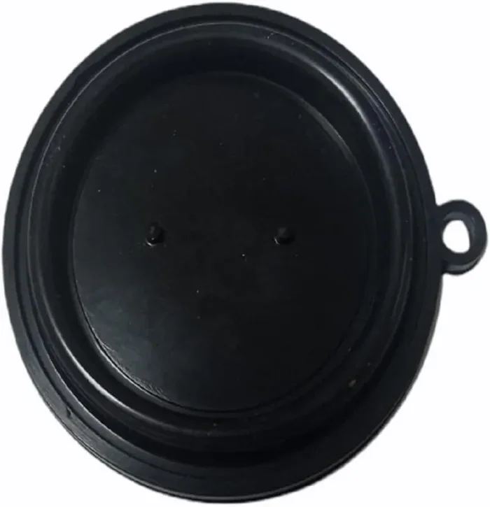 Varmem000009 Membrana Immergas D79 Vendita calda online