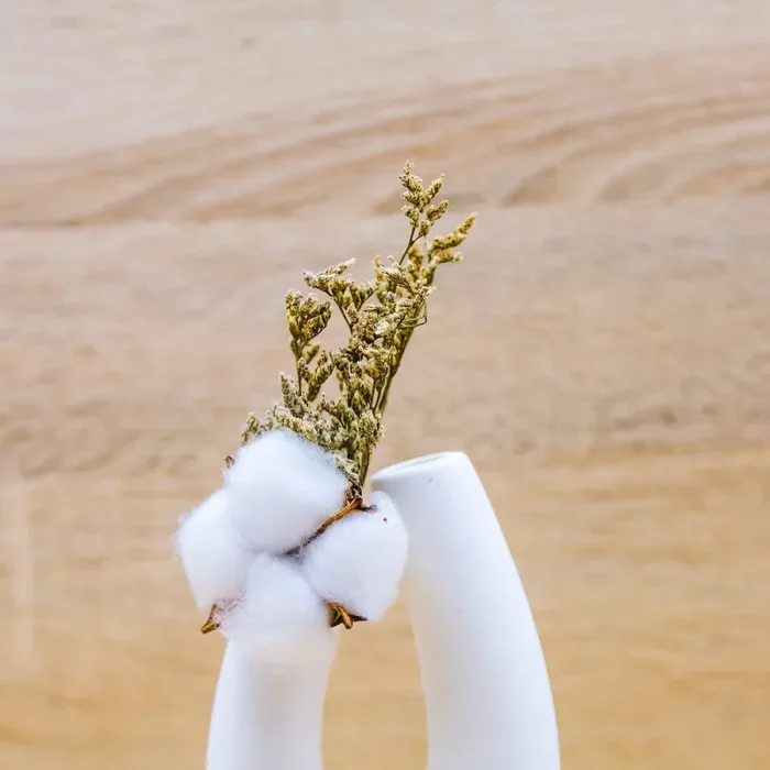 Vaso con Steli di Cotone Claraluna - immagine 2
