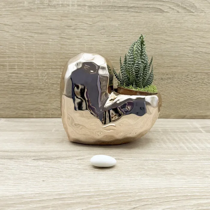 Vaso Cuore Oro Rosa con Piantina e Muschio Claraluna