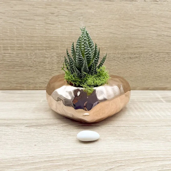 Vaso Cuore Oro Rosa con Piantina e Muschio Claraluna