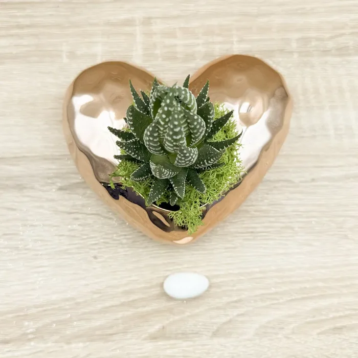 Vaso Cuore Oro Rosa con Piantina e Muschio Claraluna - immagine 2