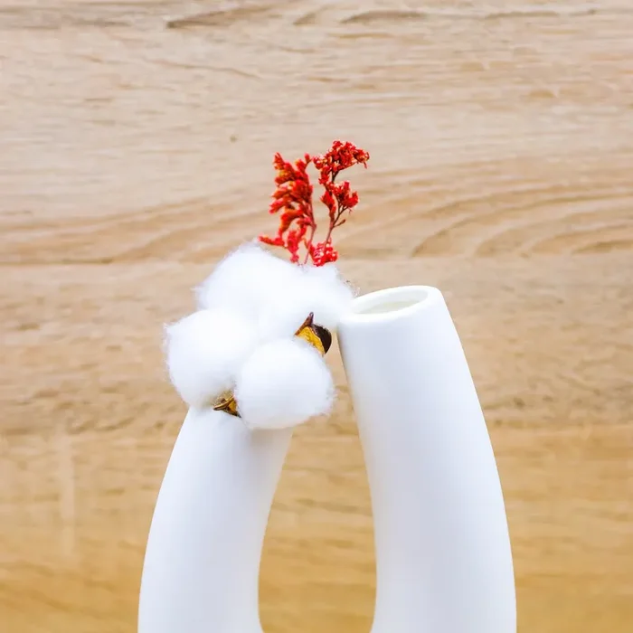 Vaso Grande con Steli di Cotone Claraluna - immagine 2