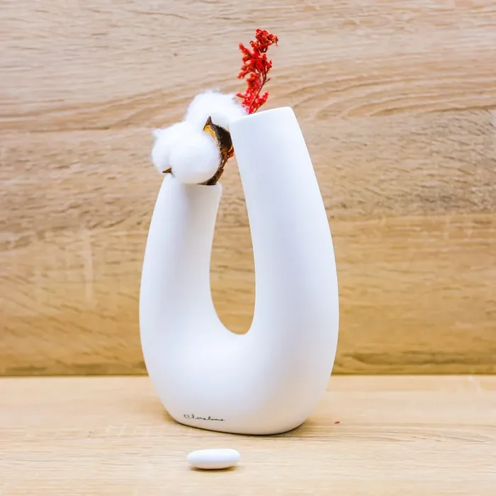 Vaso Grande con Steli di Cotone Claraluna - immagine 3