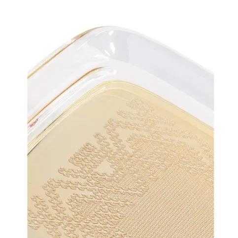 VASSOIO TEATIME ORO - immagine 3