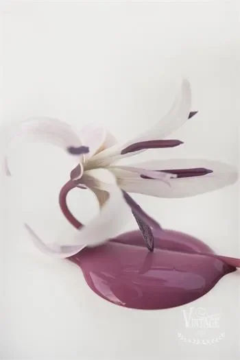 Vintage Red Vendita calda - immagine 2