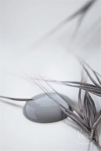 Warm Grey - immagine 2