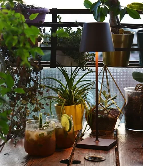 Zafferano Box 6 Pezzi Poldina Tavolo Corten - immagine 2